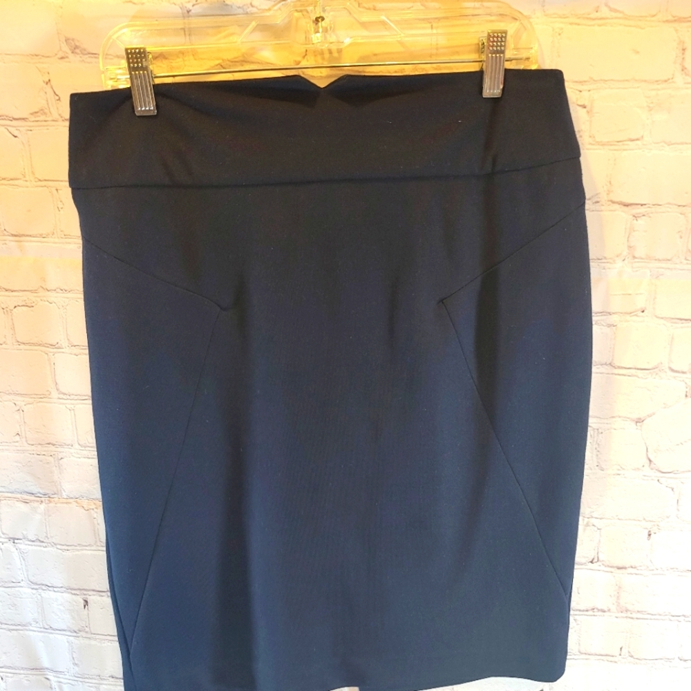 Adrienne Vittadini Skirt